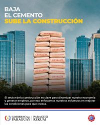 INC baja el precio del Cemento Vallemi por bolsa y a granel