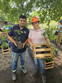 Plantar hace bien: INC entregó 380 plantines para arborizar Vallemi
