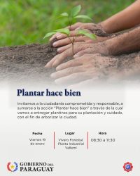 INC impulsa arborización en Vallemi