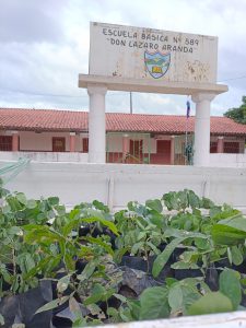 Con entrega de plantines INC conmemoró Día Mundial del Medio Ambiente